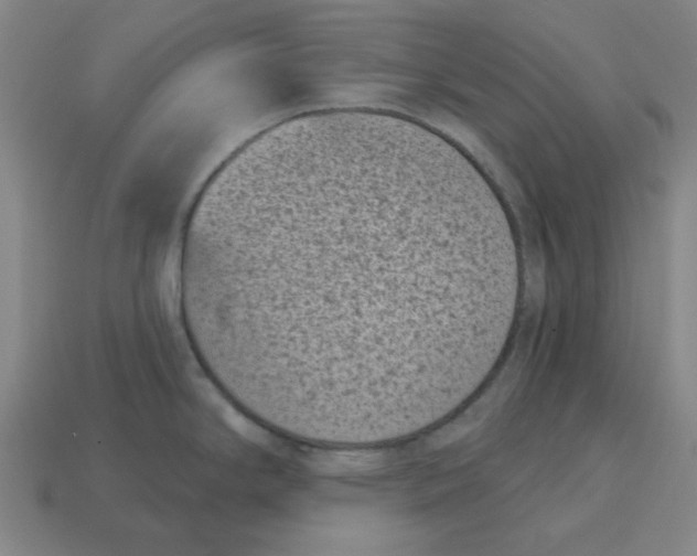 X0000114441294200911061656