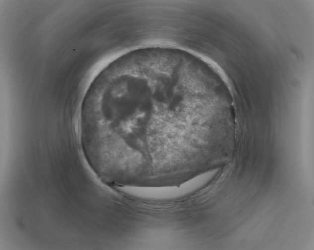 X0000114441295200911061656