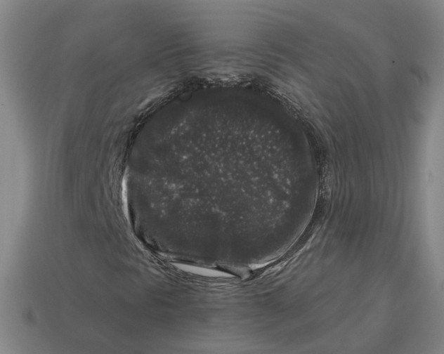 X0000114441297200911061655