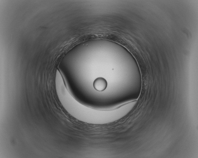 X0000114441298200911061655