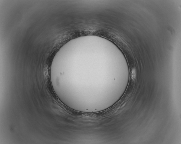 X0000114441299200911061655