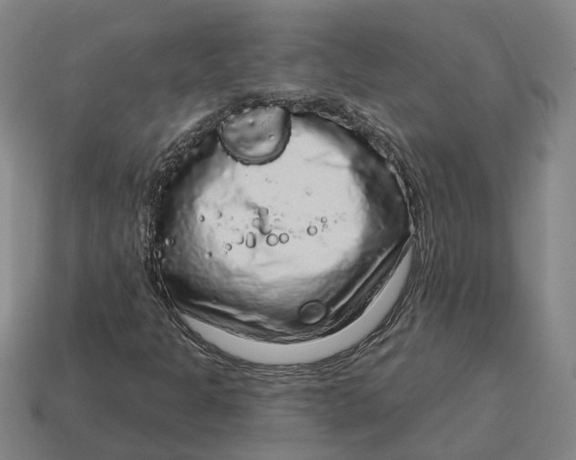 X0000114441301200911061655