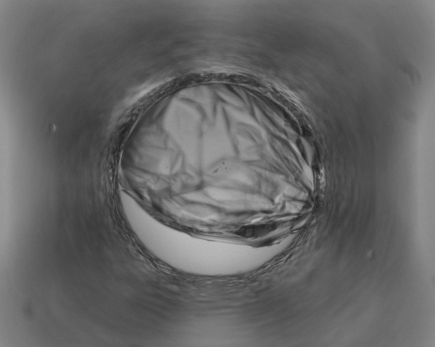 X0000114441303200911061655