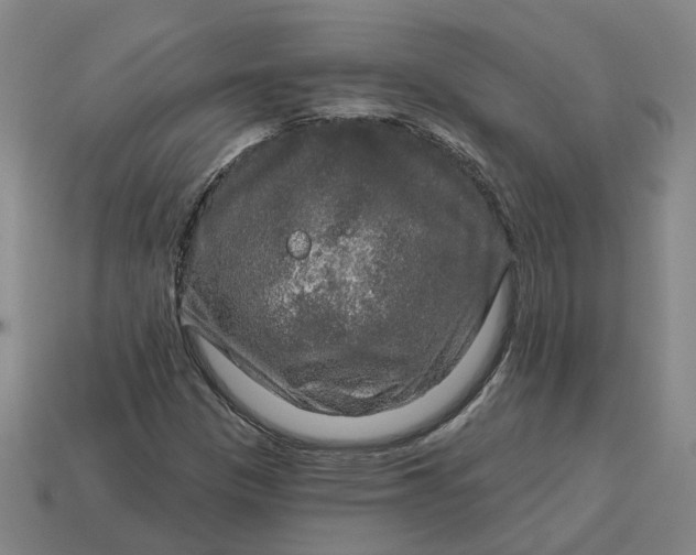 X0000114441305200911061655