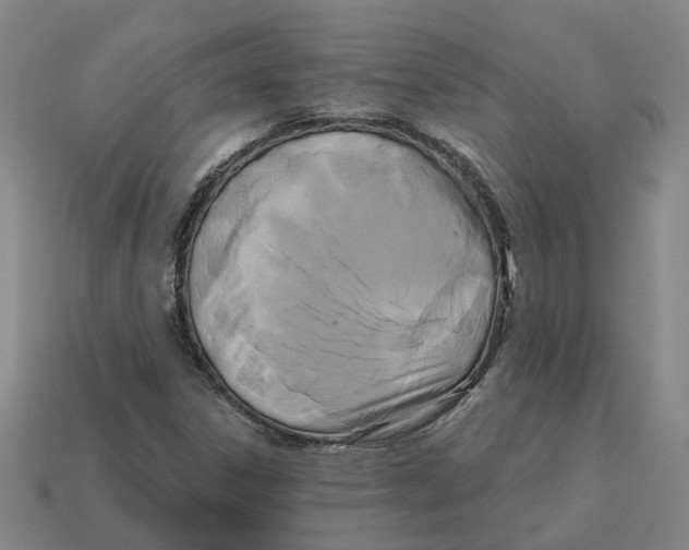 X0000114441306200911061655