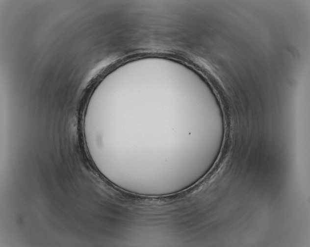 X0000114441307200911061655