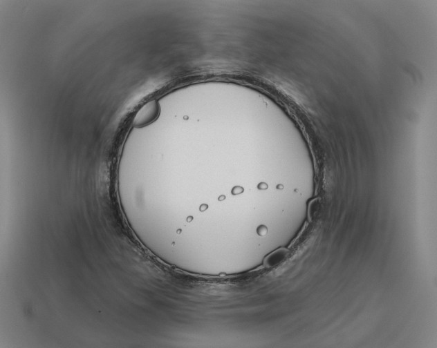 X0000114441309200911061655