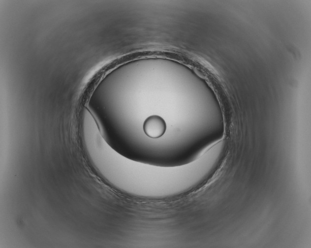 X0000114441310200911061655