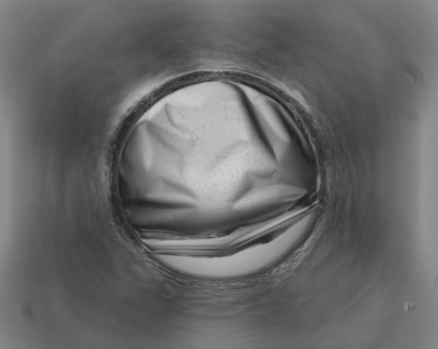 X0000114441311200911061655