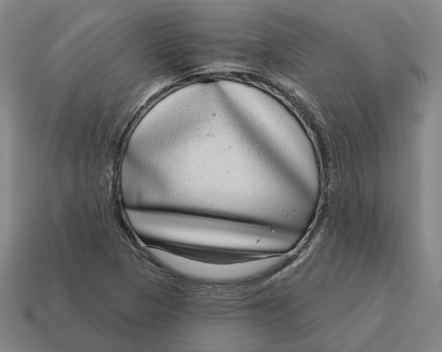 X0000114441313200911061655