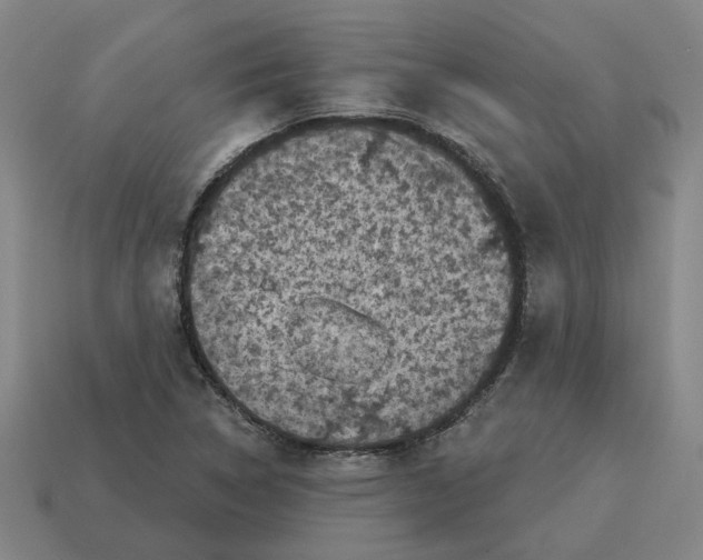 X0000114441314200911061655