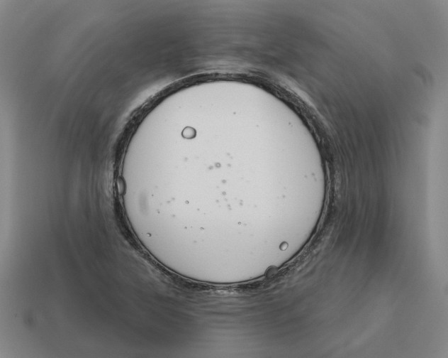 X0000114441315200911061655