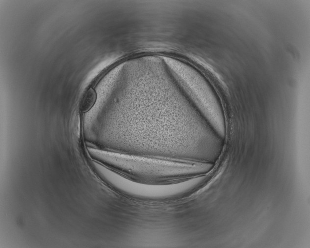 X0000114441317200911061655