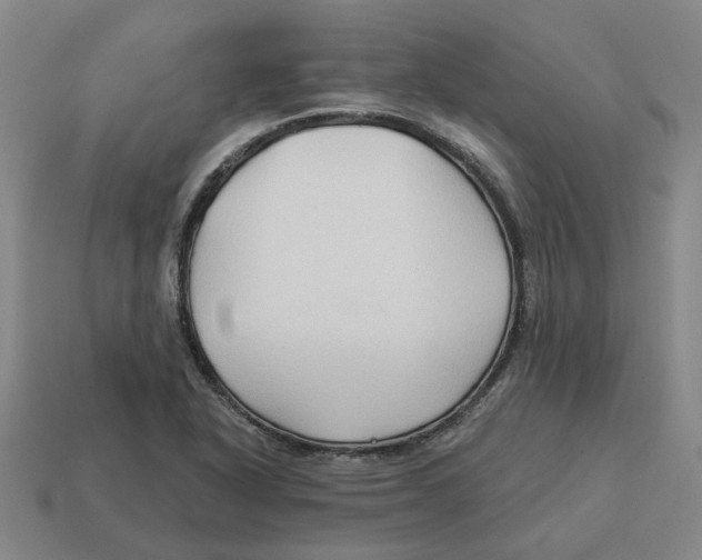 X0000114441318200911061655