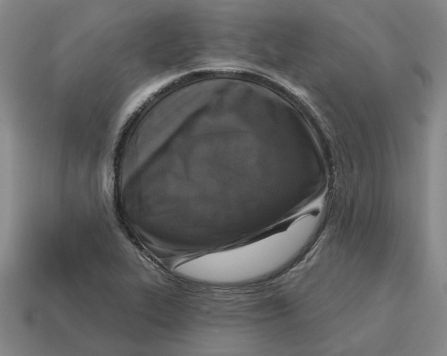 X0000114441319200911061655