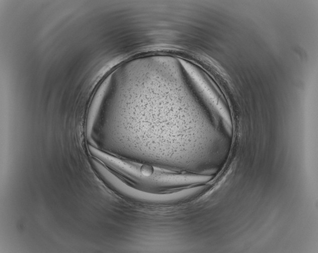 X0000114441321200911061655