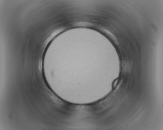 X0000114441322200911061655