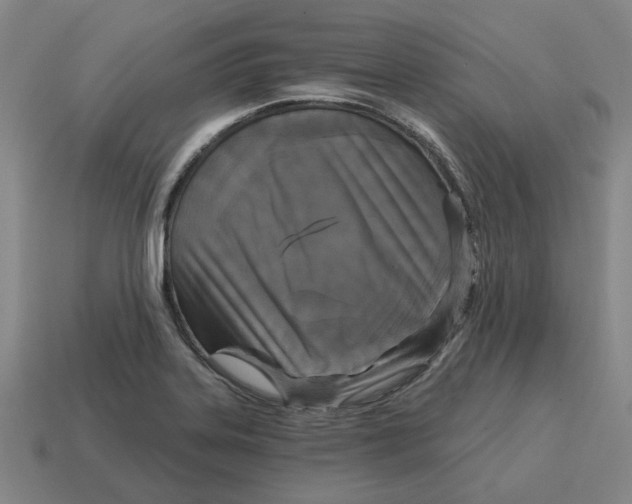 X0000114441323200911061655