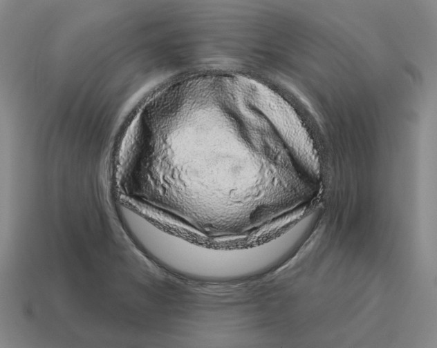 X0000114441325200911061655