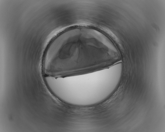 X0000114441327200911061655