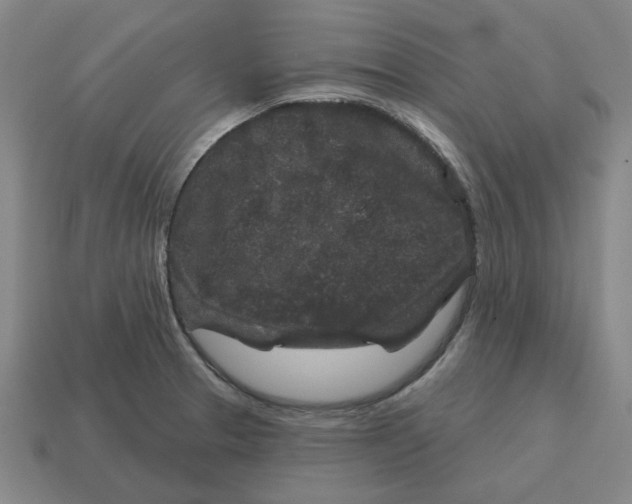 X0000114441329200911061655