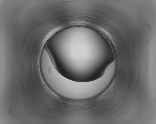 X0000114441330200911061655