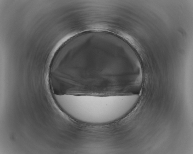 X0000114441331200911061655