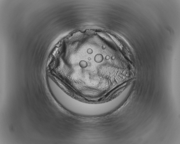 X0000114441333200911061655