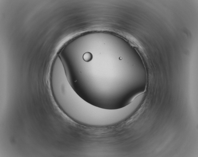 X0000114441334200911061655