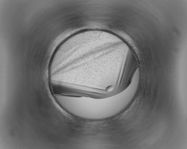 X0000114441335200911061655