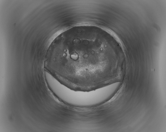 X0000114441337200911061655