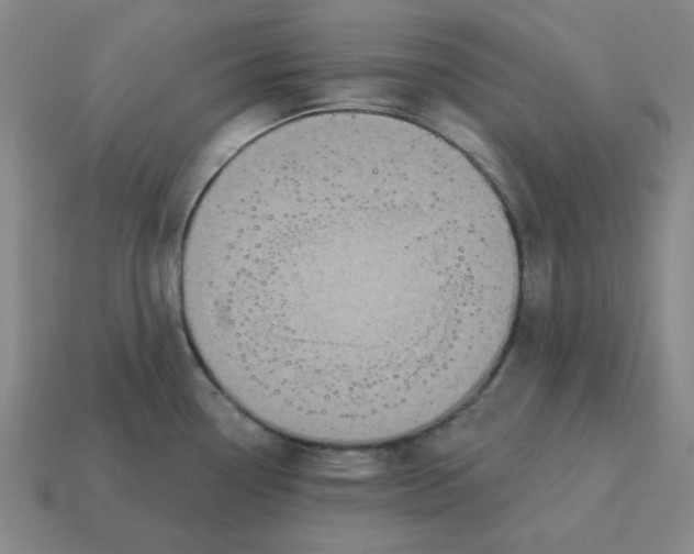 X0000114441338200911061655