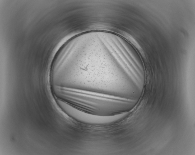 X0000114441339200911061655