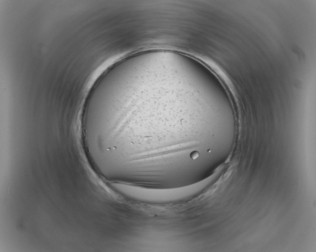 X0000114441341200911061655