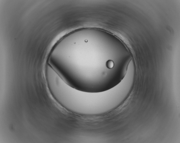 X0000114441342200911061655