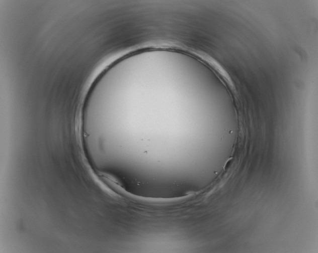 X0000114441343200911061656