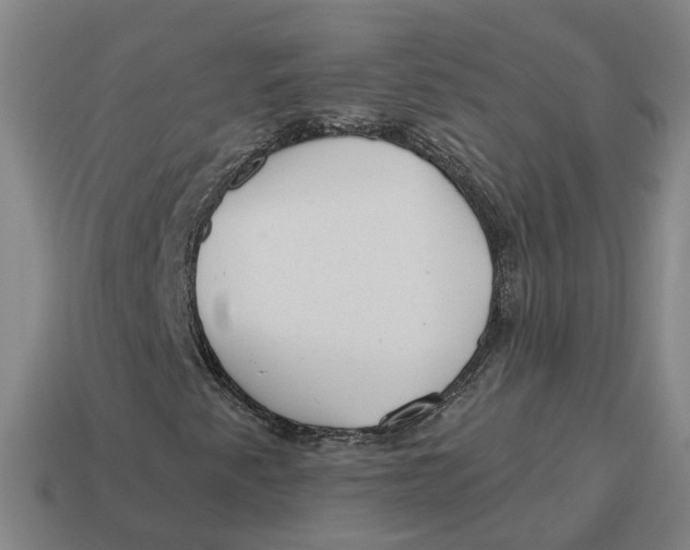 X0000114441345200911061655