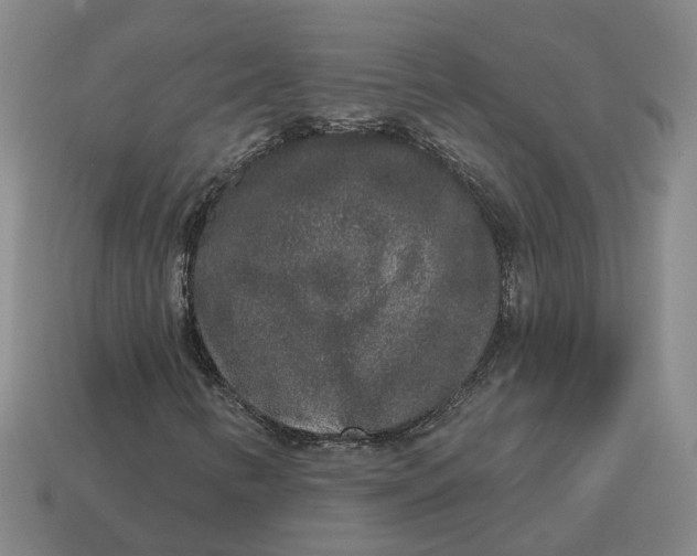 X0000114441346200911061655