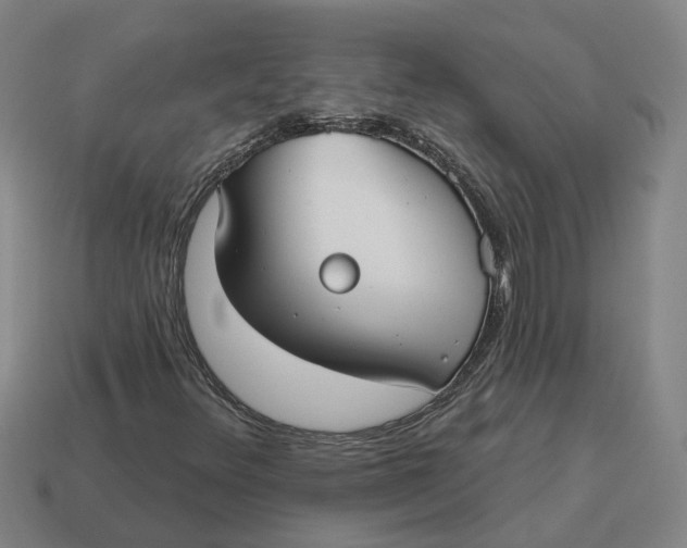 X0000114441348200911061655