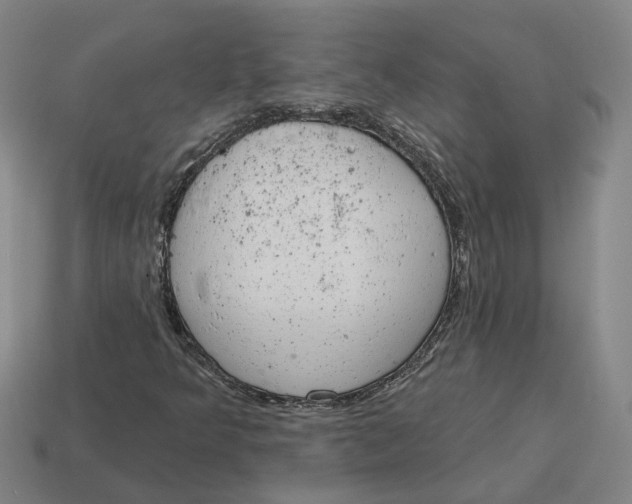 X0000114441349200911061655