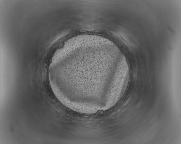 X0000114441350200911061655