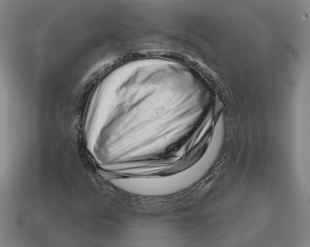 X0000114441351200911061655