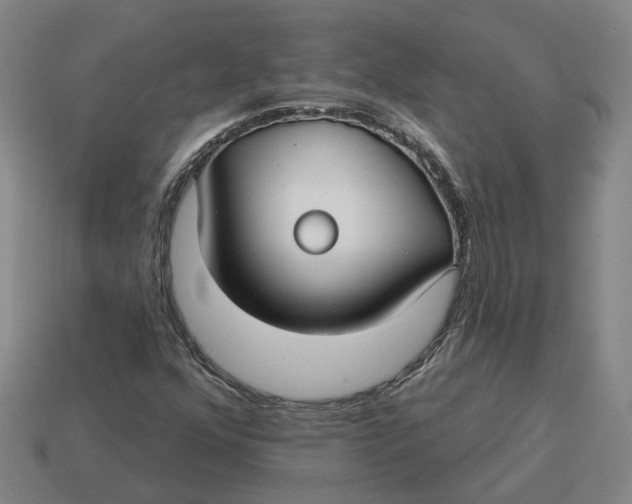 X0000114441352200911061655