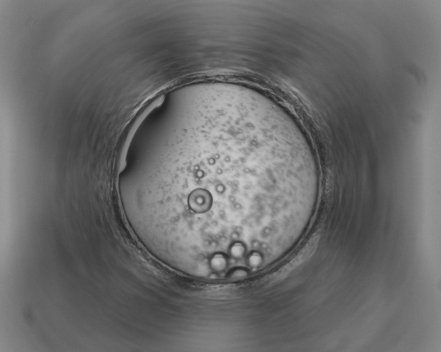 X0000114441353200911061655