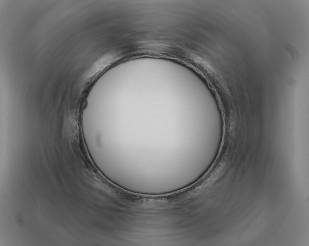 X0000114441354200911061655