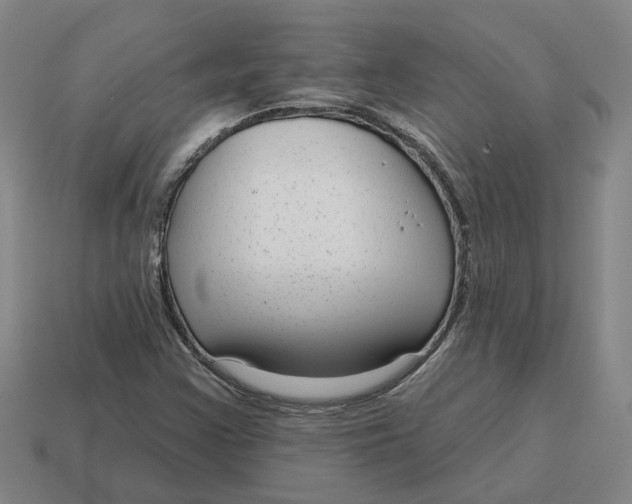 X0000114441355200911061655