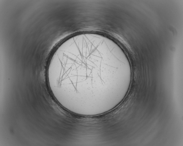 X0000114441356200911061655