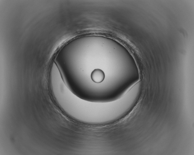 X0000114441357200911061655