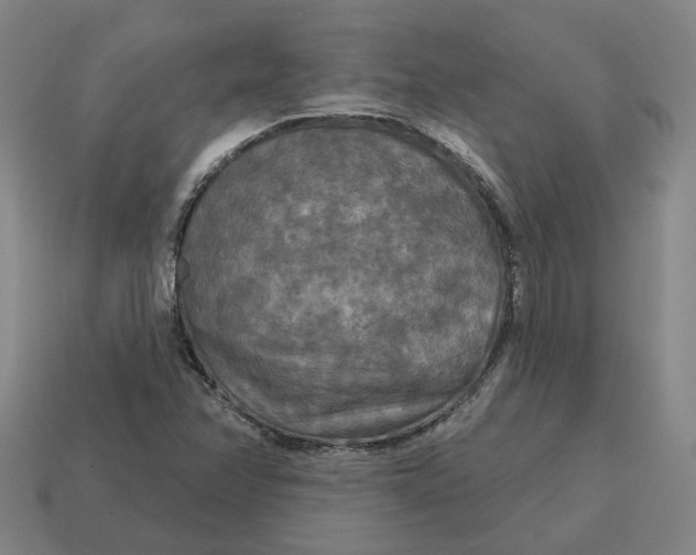 X0000114441358200911061655