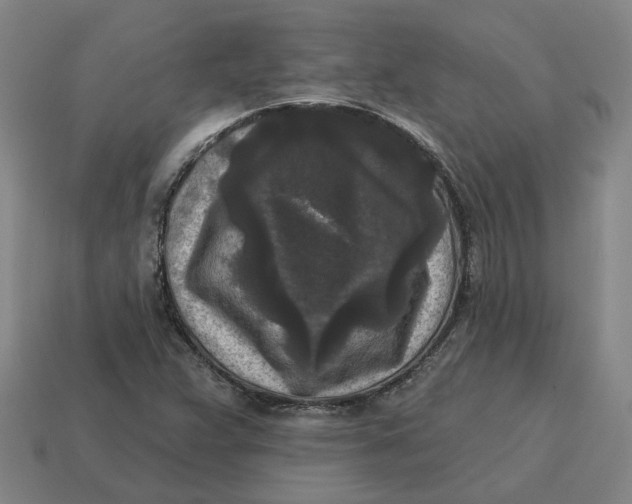 X0000114441359200911061655